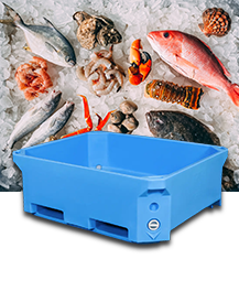 The Future of Packaging: Insulated Bulk Containers for Sustainable Shipping